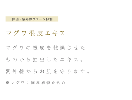 保湿・紫外線ダメージ抑制 マグワ根皮エキス マグワの根皮を乾燥させたものから抽出したエキス。紫外線からお肌を守ります。※マグワ：同属植物を含む