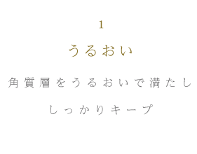 うるおい 角質層をうるおいで満たししっかりキープ