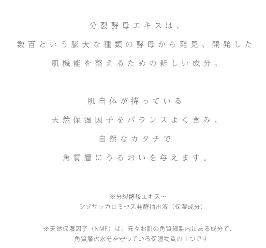 分裂酵母エキスは、数百という膨大な種類の酵母から発見、開発した肌機能を整えるための新しい成分。肌自体が持っている天然保湿因子をバランスよく含み、自然なカタチで角質層にうるおいを与えます。※分裂酵母エキス…シゾサッカロミセス発酵抽出液（保湿成分）※天然保湿因子（NMF）は、元々お肌の角質細胞内にある成分で、角質層の水分を守っている保湿物質の１つです